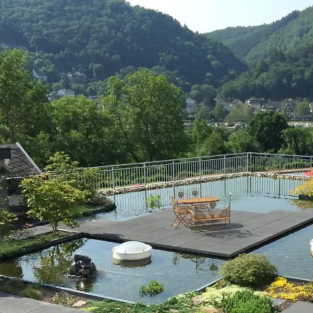 Moselstern Parkhotel Kraehennest ホテル Löf