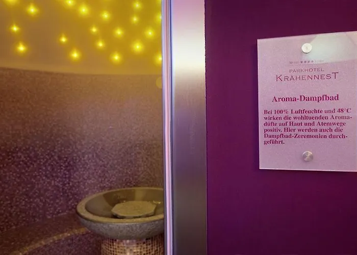 Moselstern Parkhotel Kraehennest 4* 로프