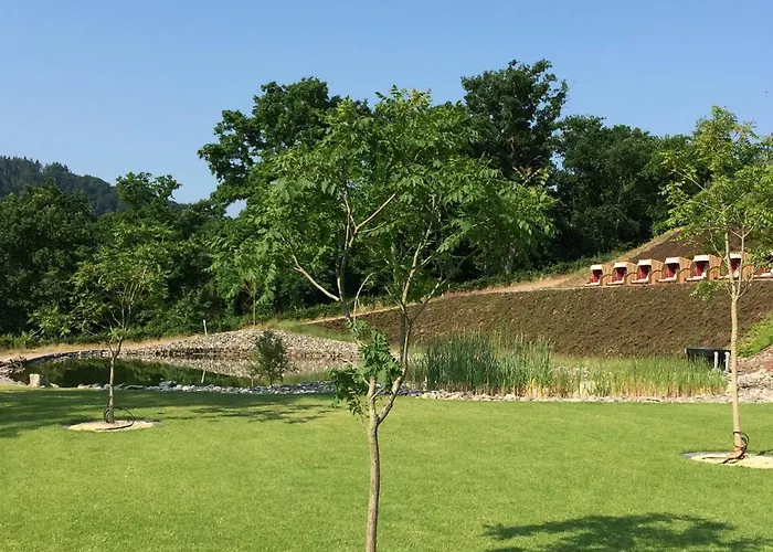 Moselstern Parkhotel Krähennest 4* Löf